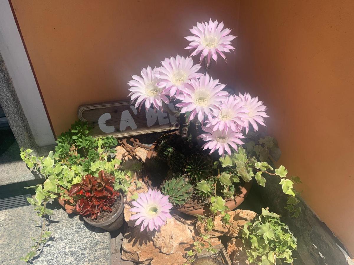 Ca Del Fili Villa Lenno Bagian luar foto