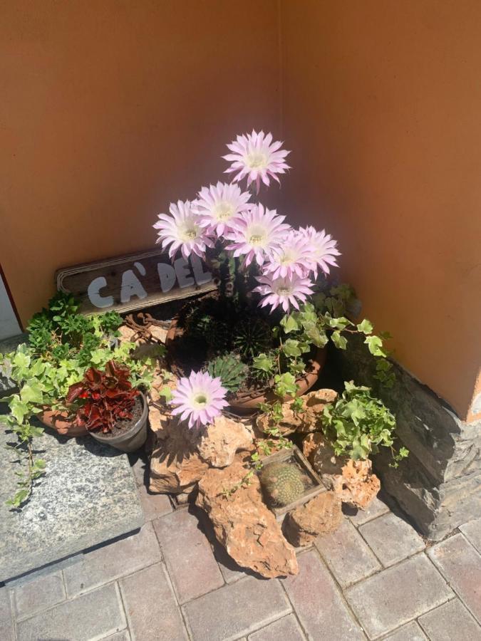 Ca Del Fili Villa Lenno Bagian luar foto